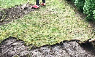 Снятие дерна старого газона в Великом Устюге – от 520 руб. | 2Землекопа-Влс